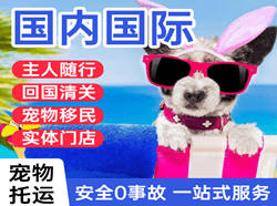 韶关空运代理国际宠物托运 【国